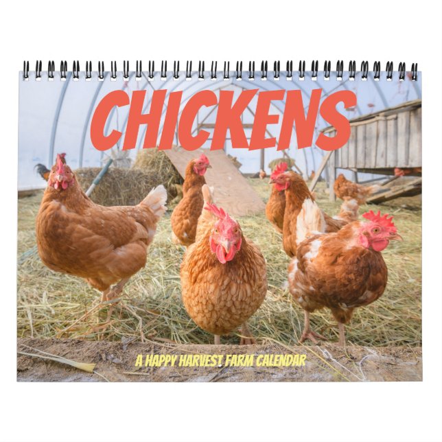 Calendário da galinha - meio (Capa)