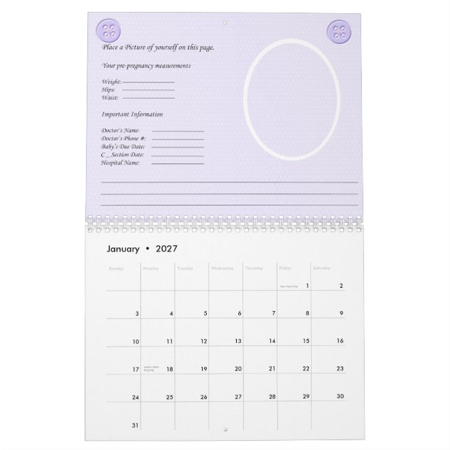 Calendário da gravidez (Jan 2027)