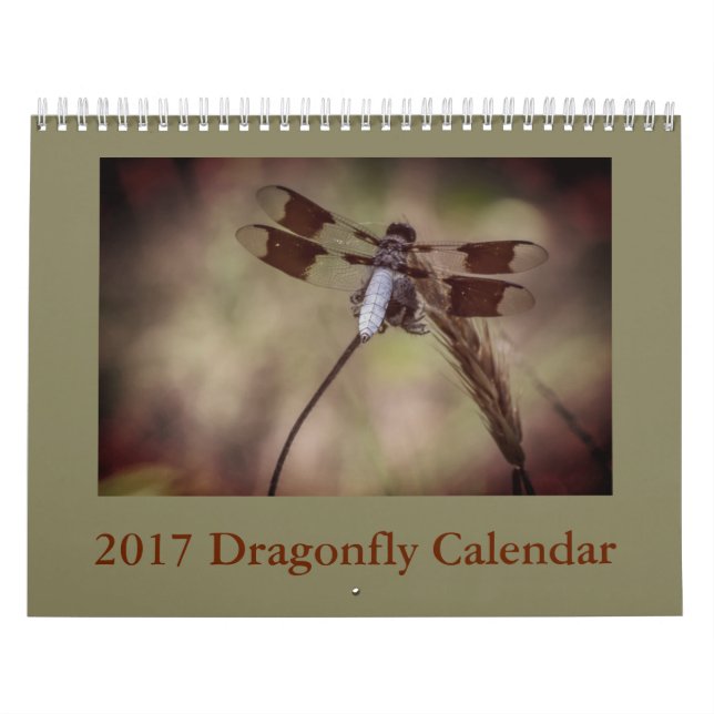 Calendário da libélula (Capa)
