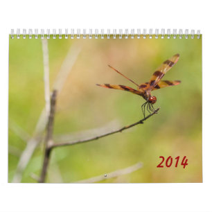 Calendário da libélula 2014 e do Damselfly