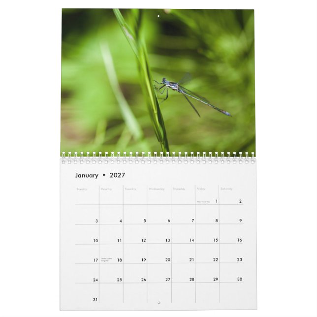 Calendário da libélula 2014 e do Damselfly (Jan 2027)