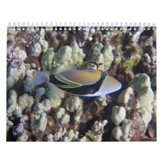 Calendário da natureza