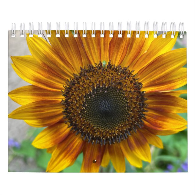 Calendário da Natureza (Capa)