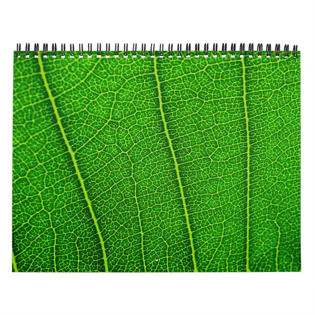 Calendário da natureza aleatória (Capa)