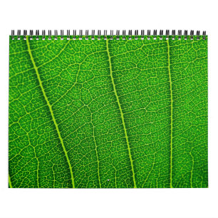 Calendário da natureza aleatória