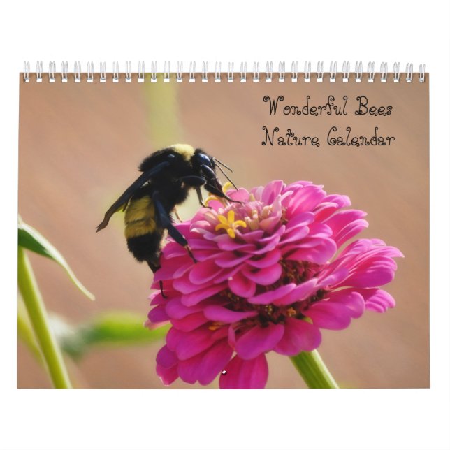 Calendário da Natureza das Abelhas Maravilhosas (Capa)