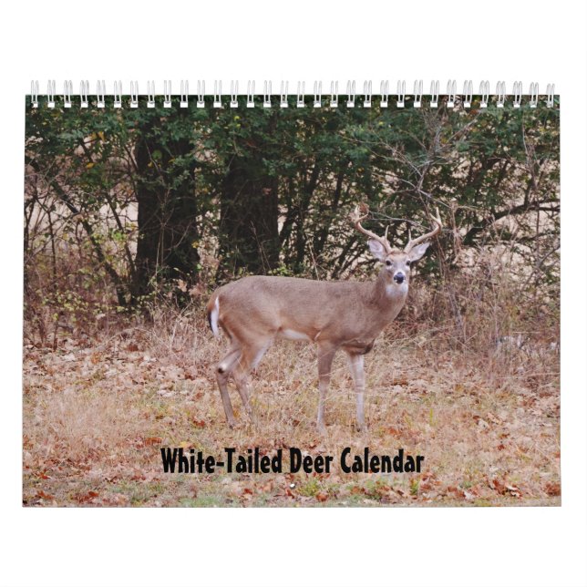Calendário da Natureza do Veado-de-Cauda-Branca (Capa)