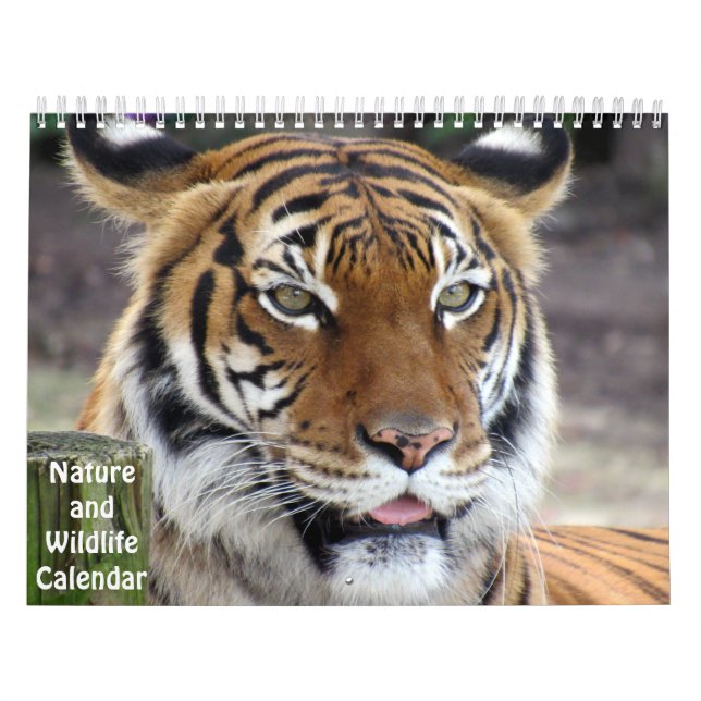 Calendário da Natureza e da Vida Selvagem (Capa)