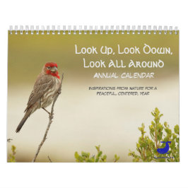 Calendário da Natureza: Olhem Para Cima, Olhem Par