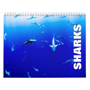 Calendário da Parede 2022 do Sharks