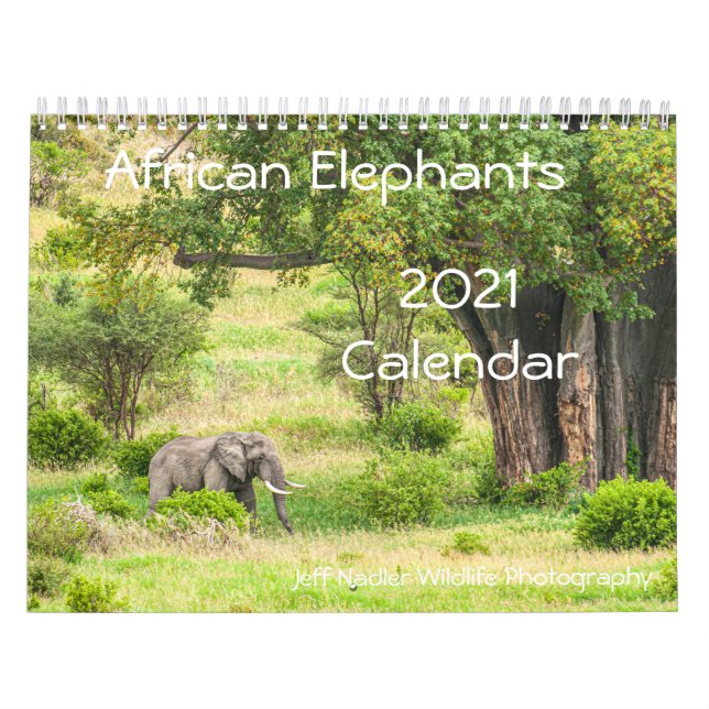 Calendário da Parede de 2021 de Afro-Elefantes (Capa)