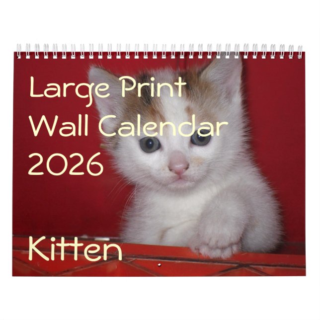 Calendário da Parede de Fotos de Kitten 2026 (Capa)
