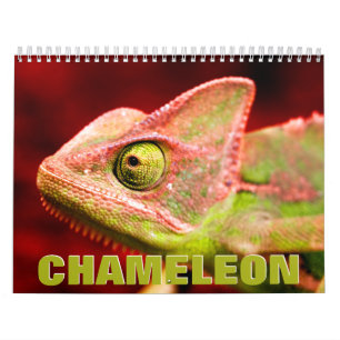 Calendário da Parede do Chameleon 2022