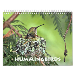 Calendário da Parede do Hummingbird