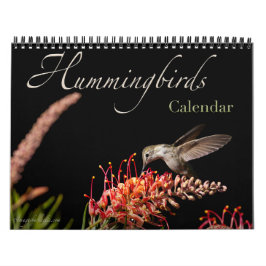 Calendário da Parede do Hummingbird 2026