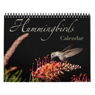 Calendário da Parede do Hummingbird 2026