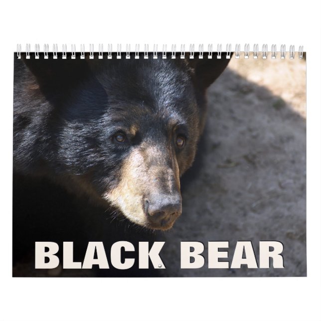 Calendário da Parede do Urso Negro (Capa)