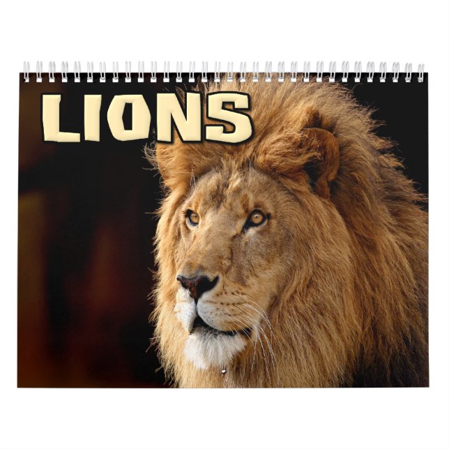 Calendário da Parede dos Leões (Capa)
