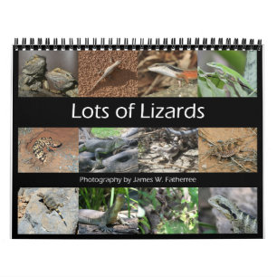Calendário da Parede dos Lizards por J.W. Pai.