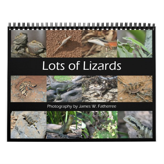 Calendário da Parede dos Lizards por J.W. Pai. (Capa)