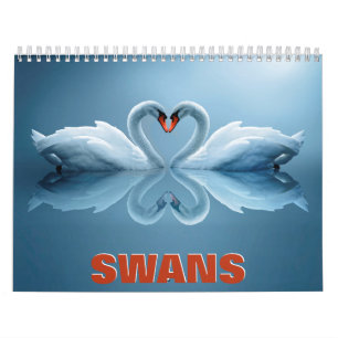Calendário da Parede dos Swans