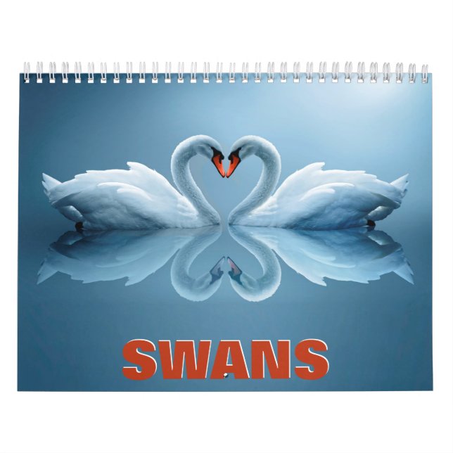 Calendário da Parede dos Swans (Capa)