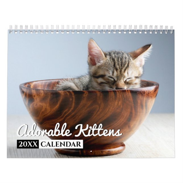 Calendário da Parede Fotográfica de Kittens Adoráv (Capa)