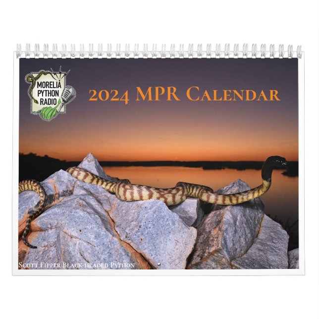Calendário da Rádio Morelia Python 2024 (Capa)