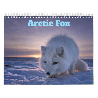 Calendário da Raposa Ártica 2027