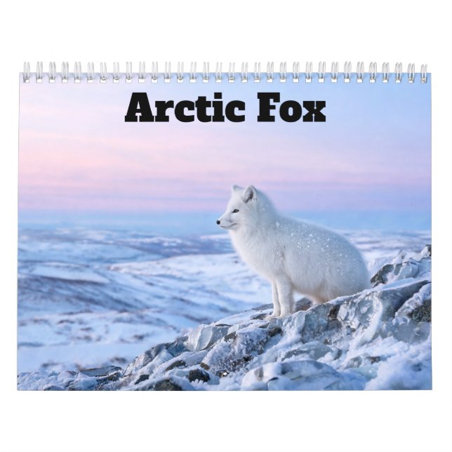 Calendário da Raposa Ártica 2027 (Capa)