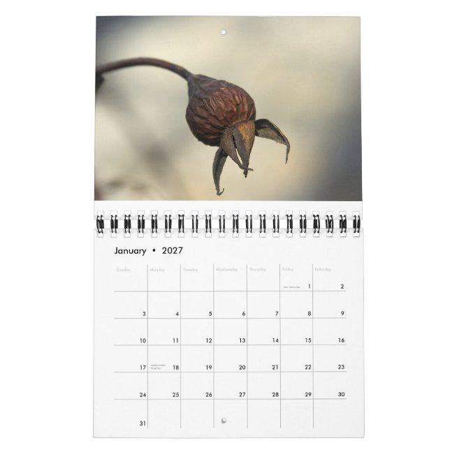 Calendário Da terra abundante (Jan 2027)