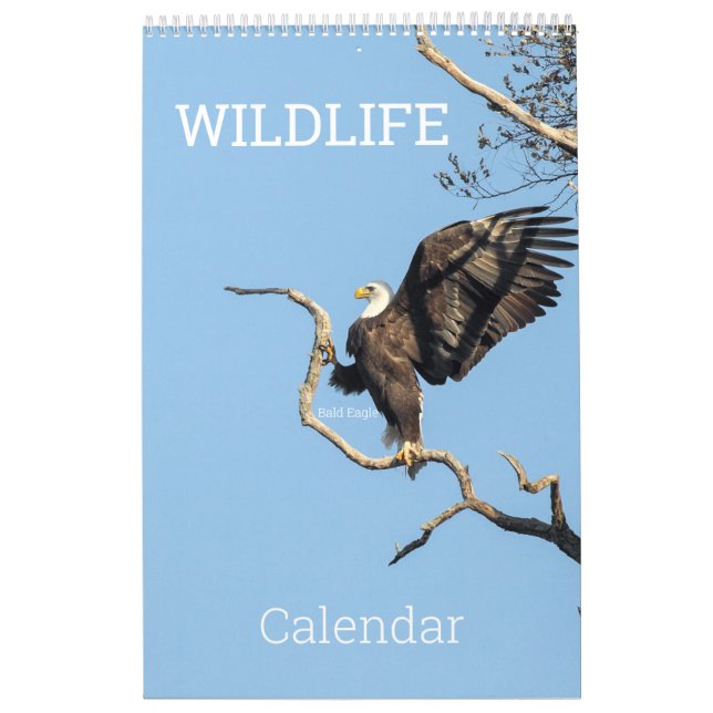 Calendário da Vida Selvagem (Capa)