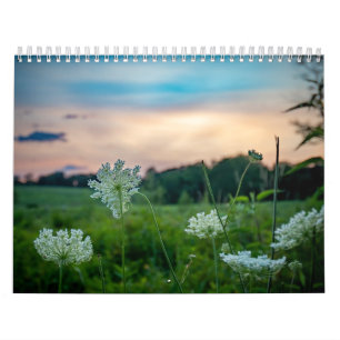 Calendário da Vida Selvagem