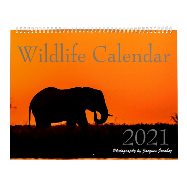 Calendário da Vida Selvagem 2021 (Capa)