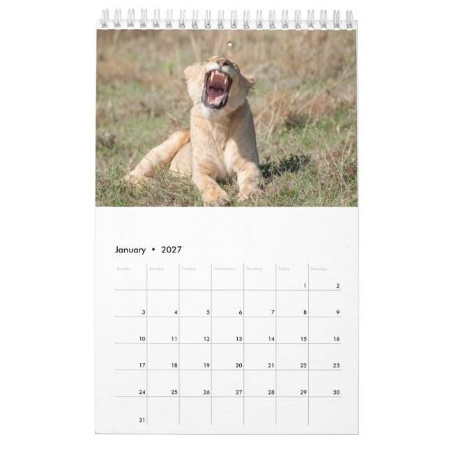Calendário da Vida Selvagem 2021 (Jan 2027)