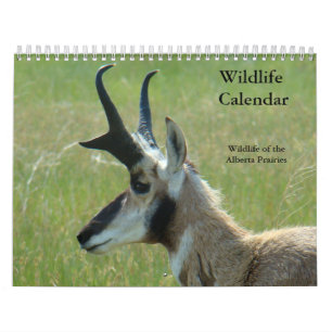 Calendário da Vida Selvagem C14