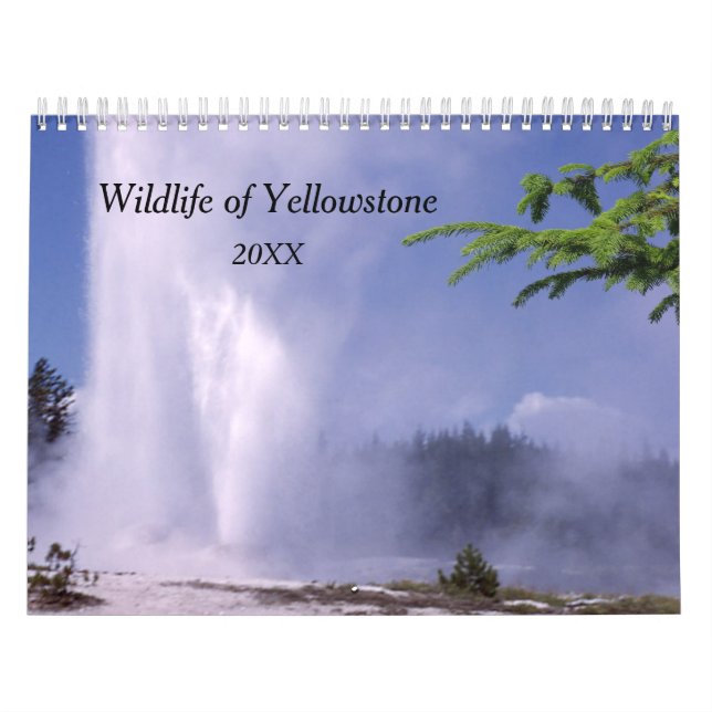 Calendário da Vida Selvagem do Yellowstone (Capa)