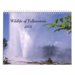 Calendário da Vida Selvagem do Yellowstone