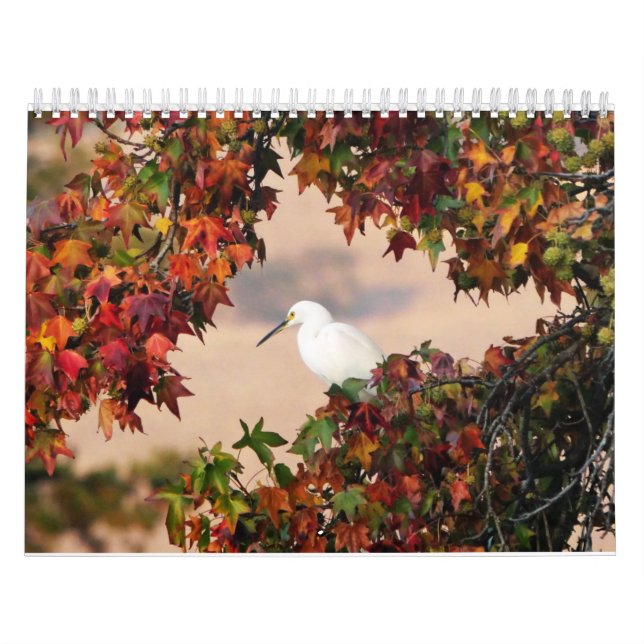 Calendário da Vida Selvagem e Aves (Capa)