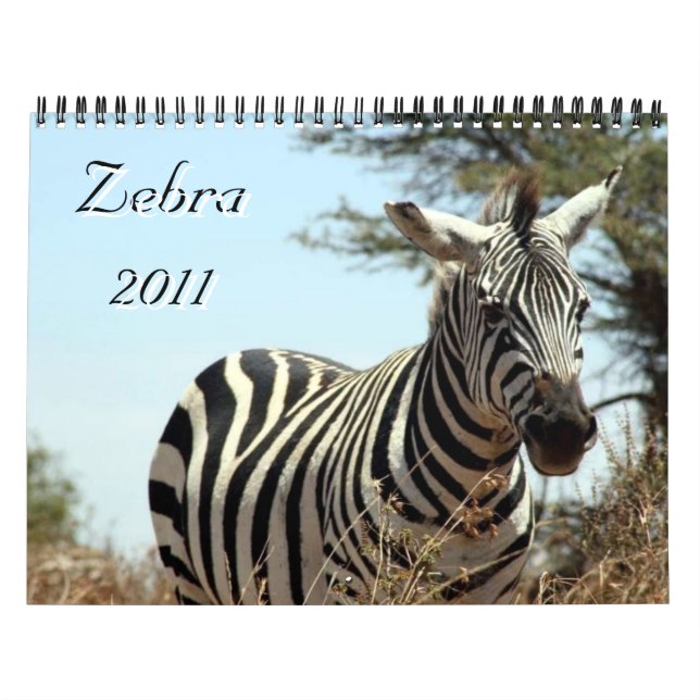calendário da zebra 2011 (Capa)