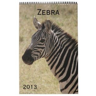 calendário da zebra 2013