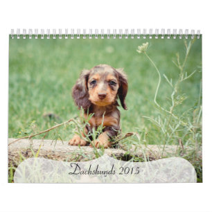 Calendário Dachshances 2015