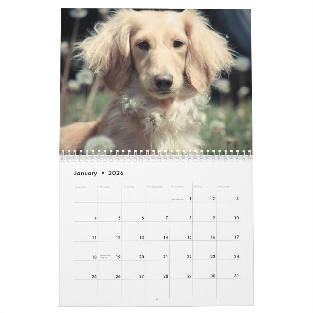 Calendário Dachshances 2015 (Jan 2026)