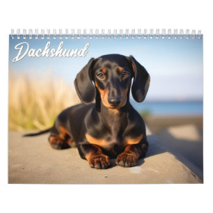 Calendário Dachshund
