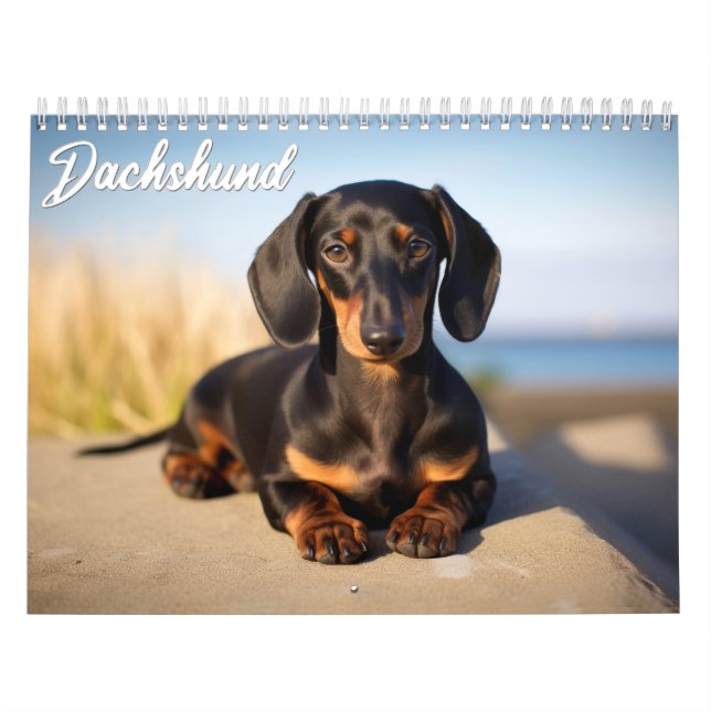 Calendário Dachshund (Capa)