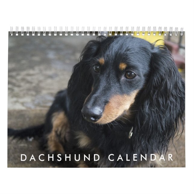 Calendário Dachshund 2016 (Capa)