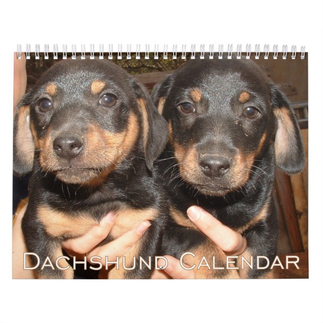Calendário Dachshund 2026 Com Fotos (Capa)