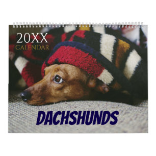 Calendário Dachshund Cão 2026 Foto