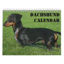 Calendário Dachshund Com Suas Fotos