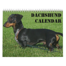 Calendário Dachshund Com Suas Fotos